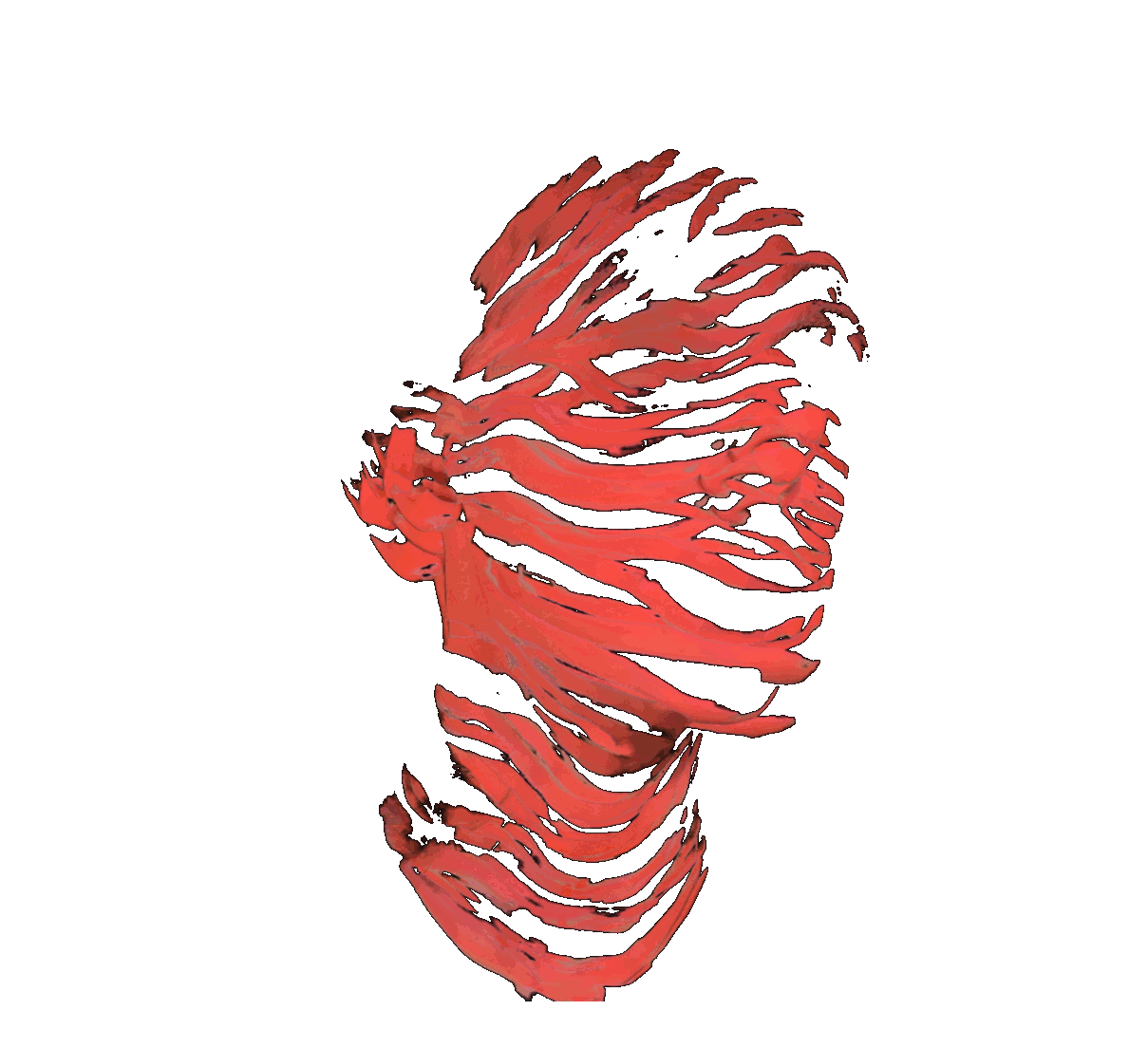 flying head
